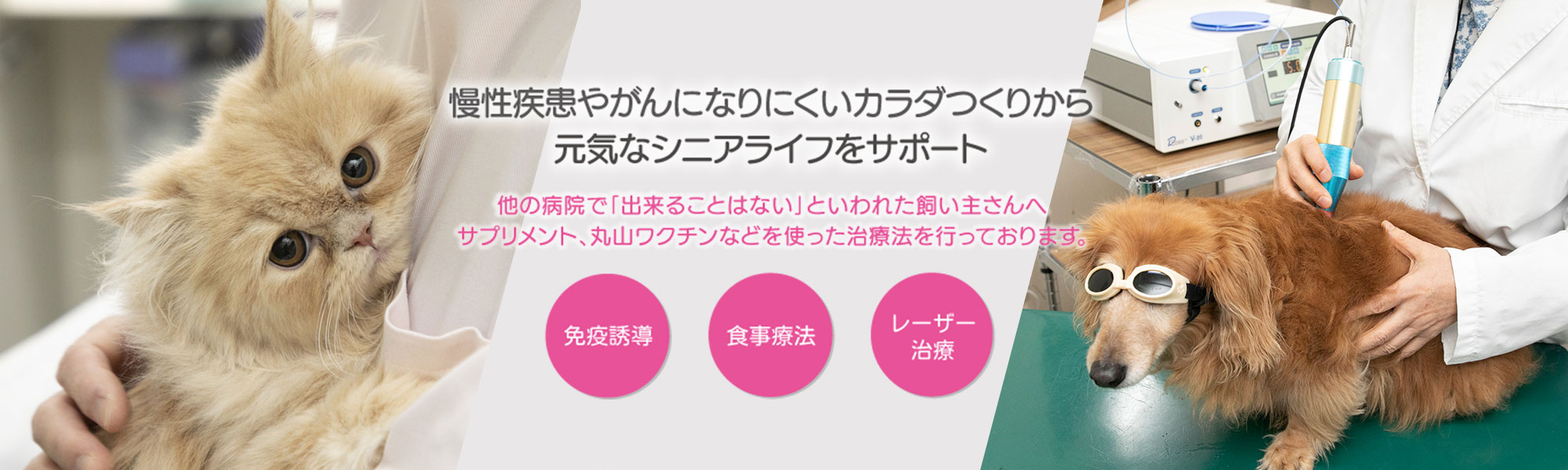 まねき猫ホスピタル