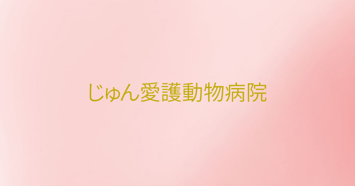 じゅん愛護動物病院