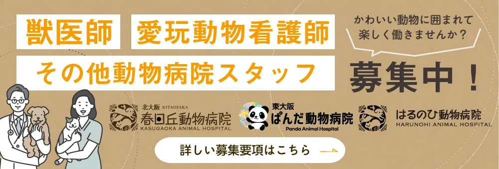 春日丘動物病院