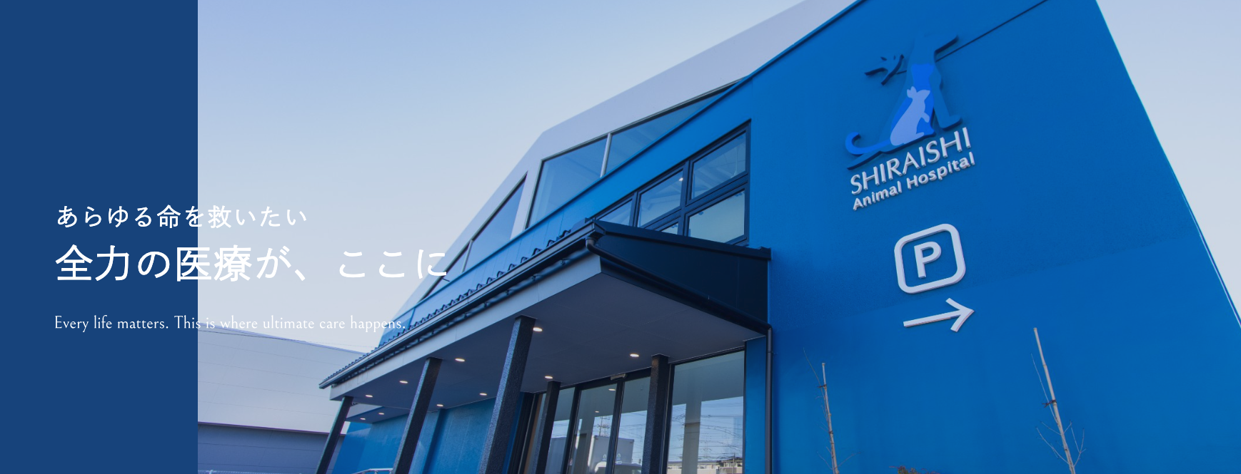 狭山動物医療センター 白石動物病院