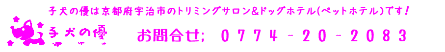 子犬の優