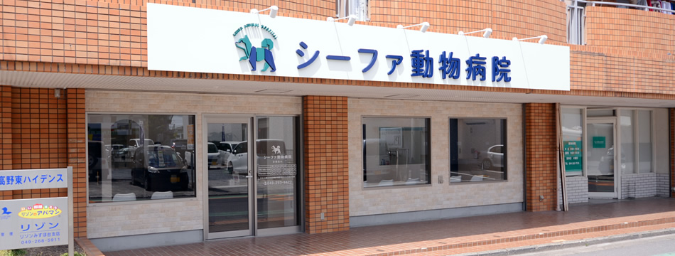 シーファ動物病院