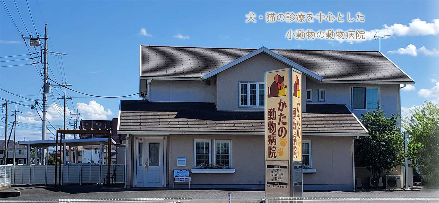 かたの動物病院