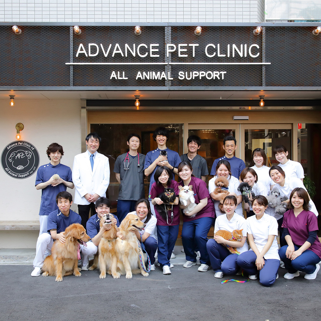 アドバンスペットクリニック