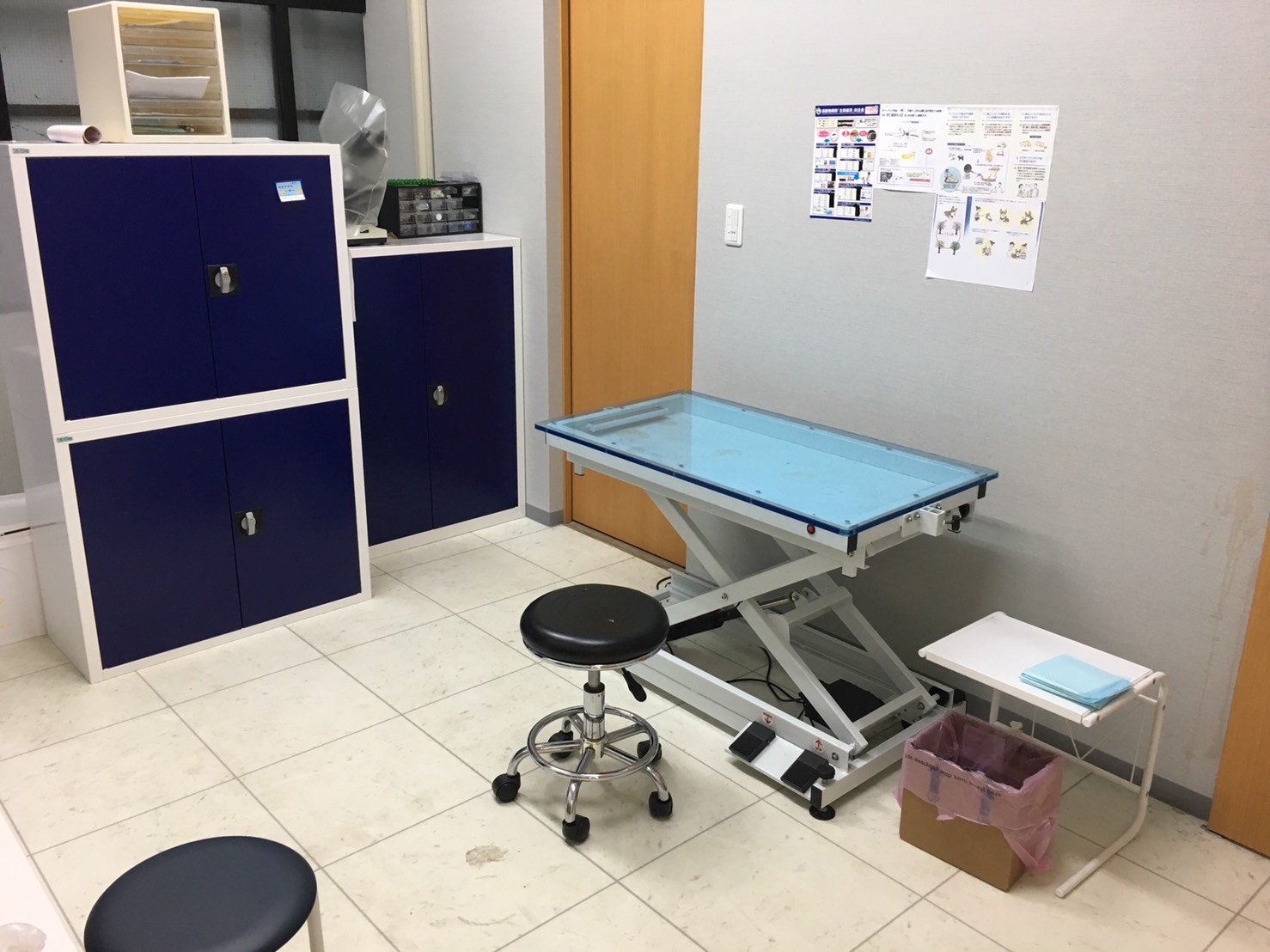 海動物病院　高槻往診所