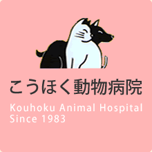こうほく動物病院