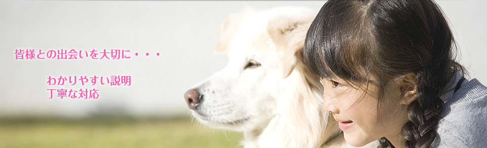 リリー動物病院