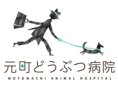 元町どうぶつ病院