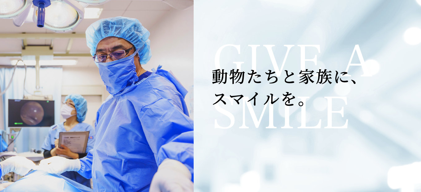 さくら動物病院