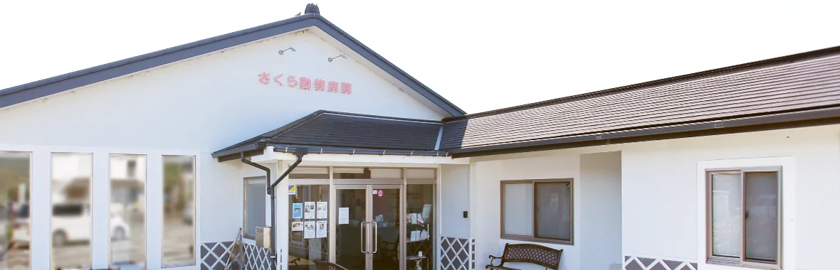 さくら動物病院