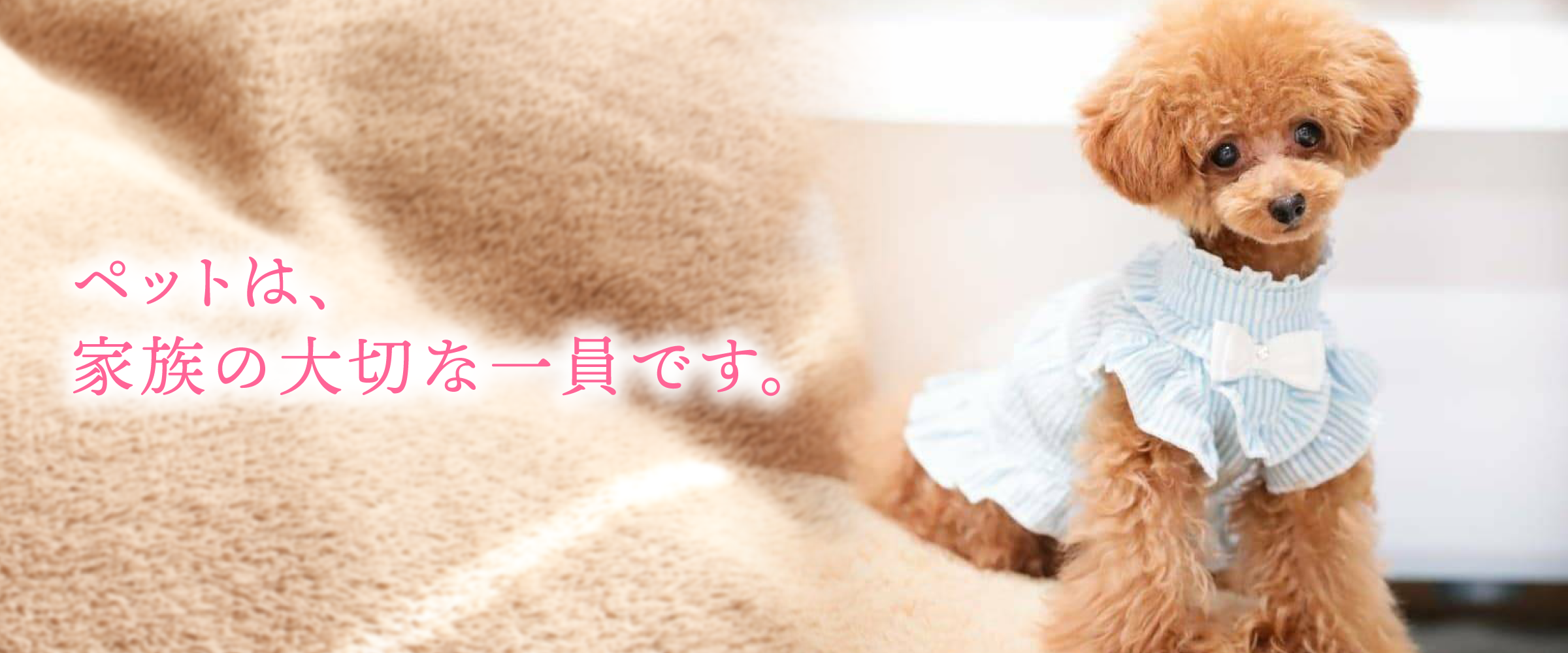 シンシア動物病院