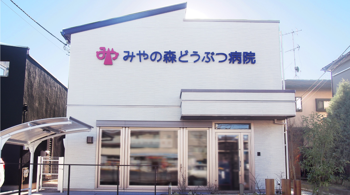 みやの森どうぶつ病院