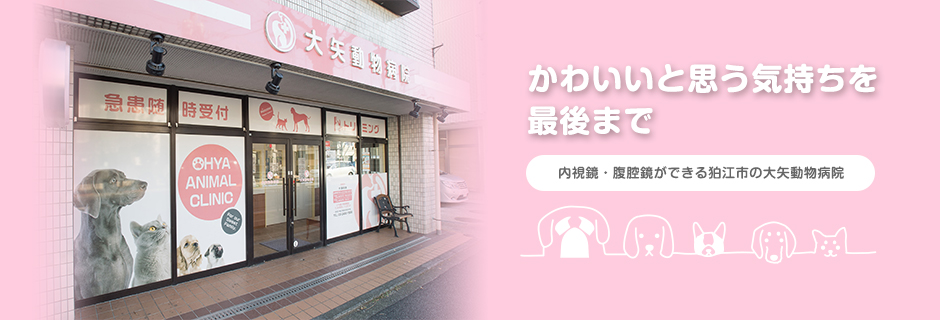大矢動物病院