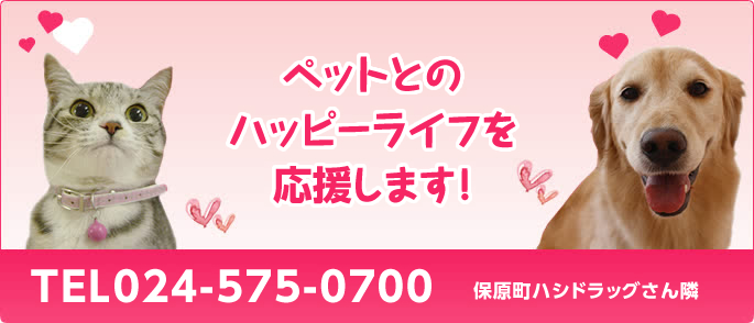 アリスペットクリニック