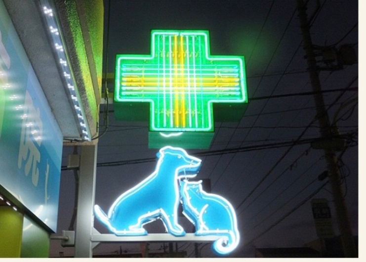 水元公園動物病院