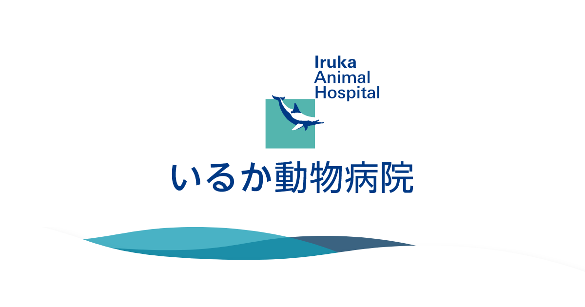 いるか動物病院