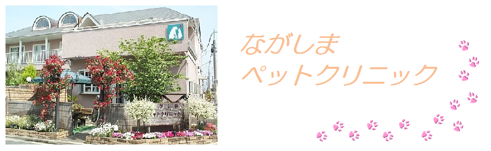 ながしまペットクリニック