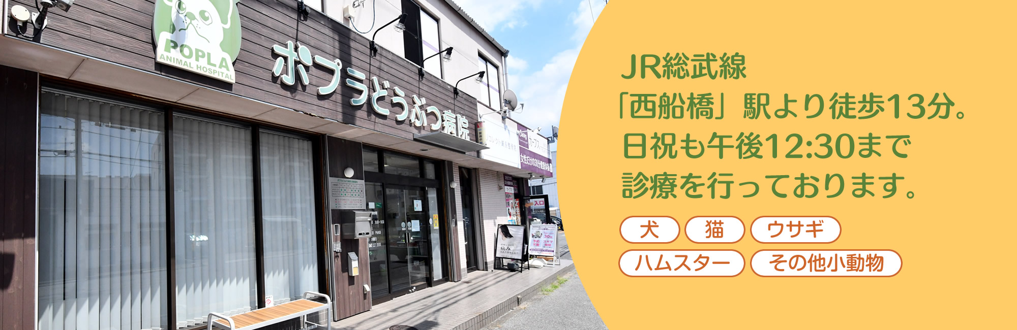 ポプラどうぶつ病院