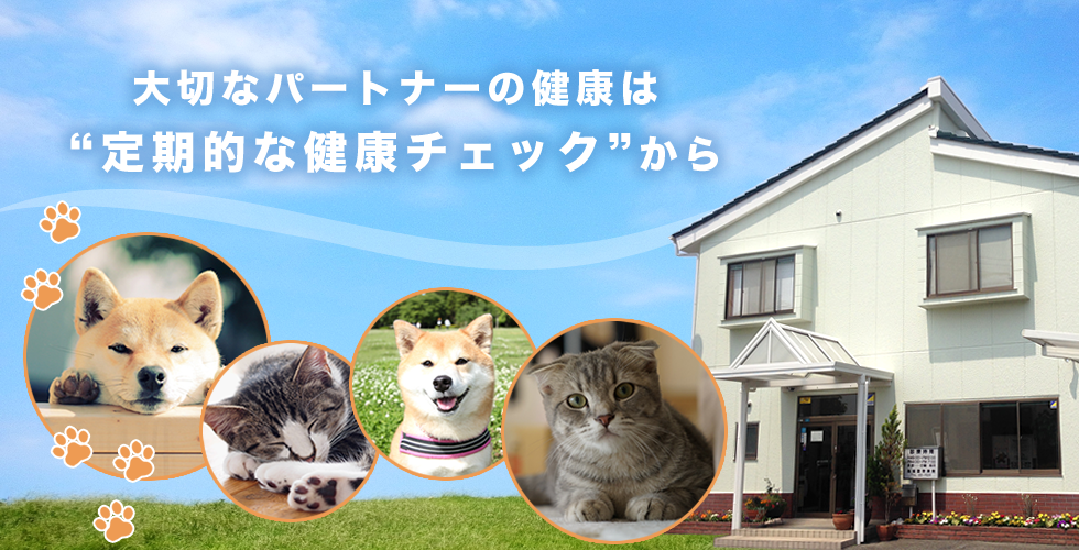 トリゴエ動物病院