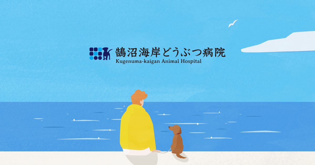 鵠沼海岸どうぶつ病院