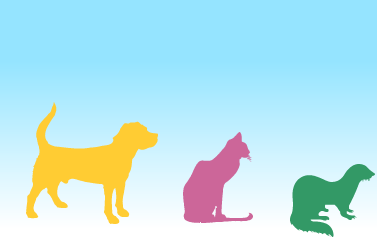 たいすけ動物病院