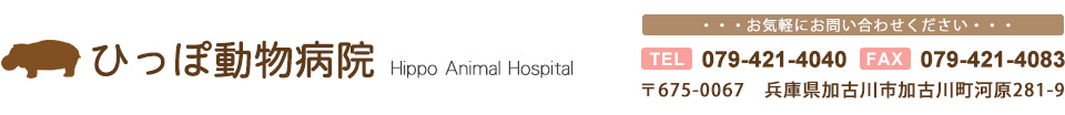 ひっぽ動物病院