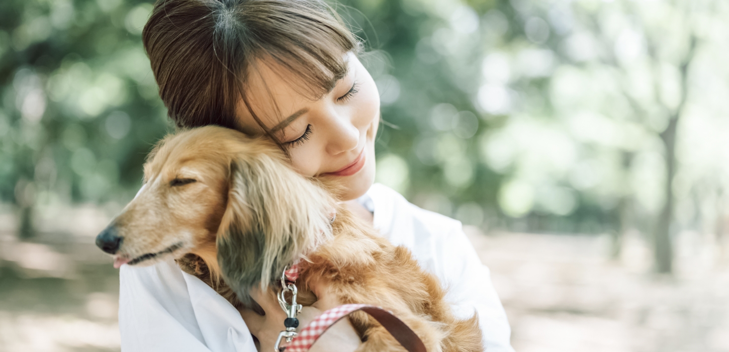 皇子山動物病院