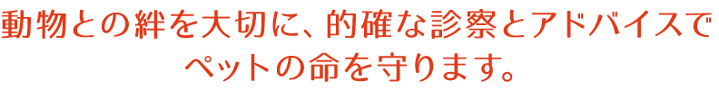 蘭動物病院