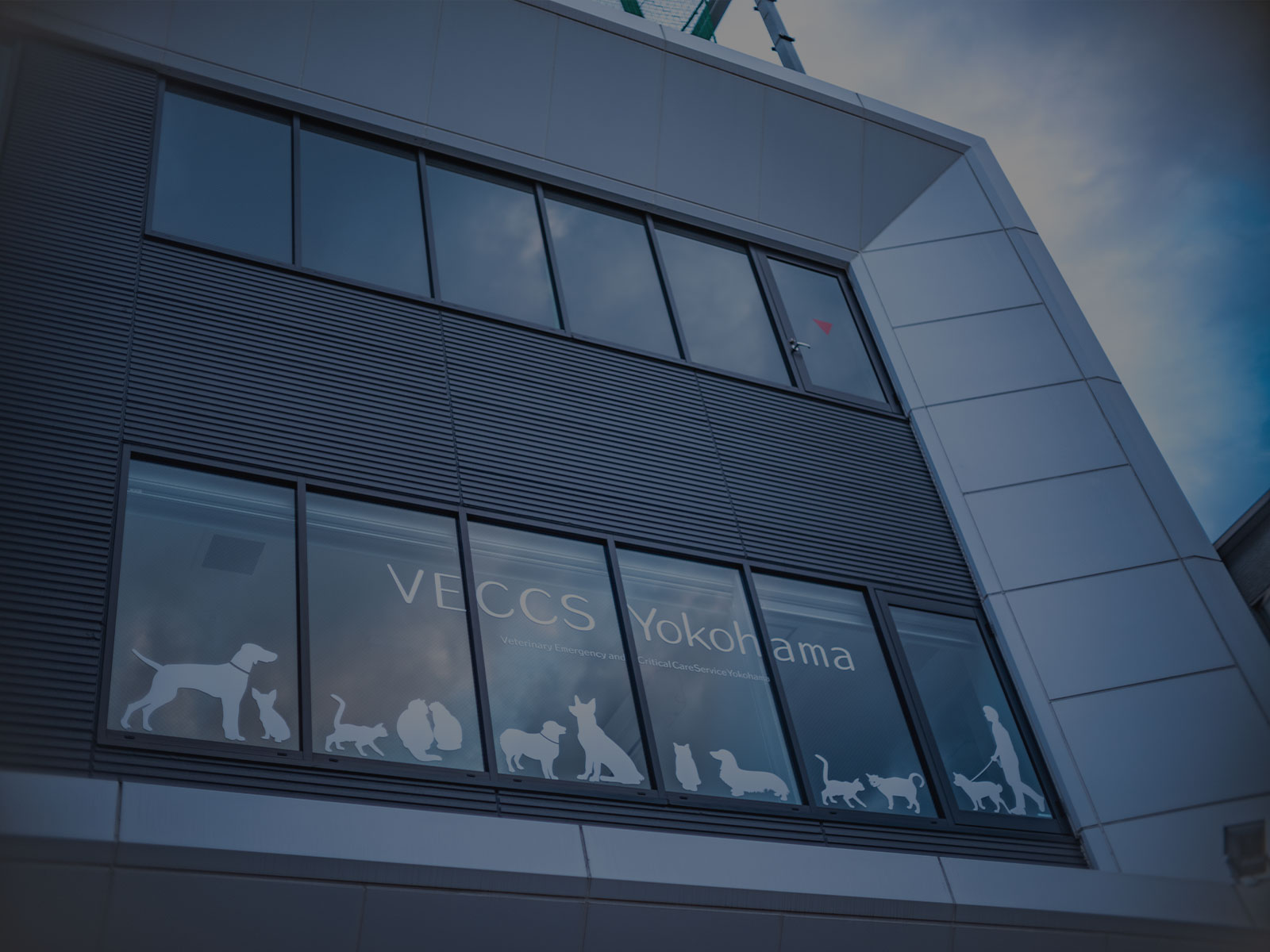 横浜動物救急診療センター