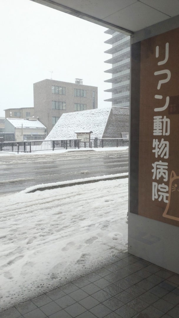 リアン動物病院