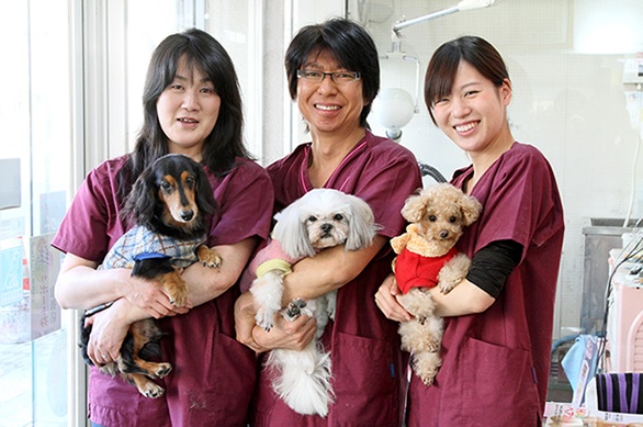 ドッグサロンナガシマヤ