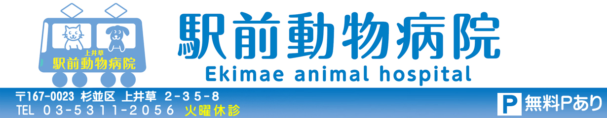 駅前動物病院