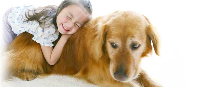 アミィ動物病院