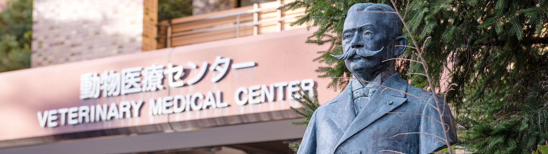 東京大学附属動物医療センター
