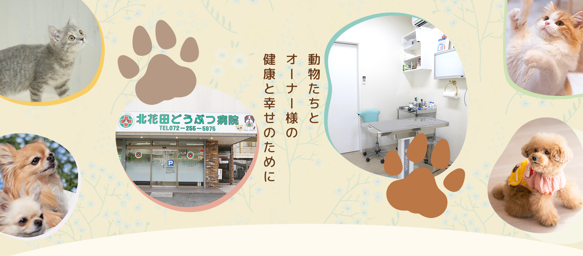 北花田どうぶつ病院