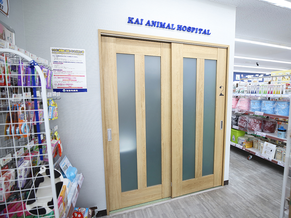 海動物病院　東久留米往診所