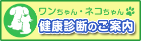 すがわら動物病院