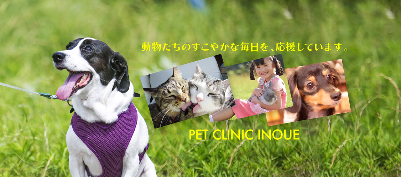 ペットクリニック井上