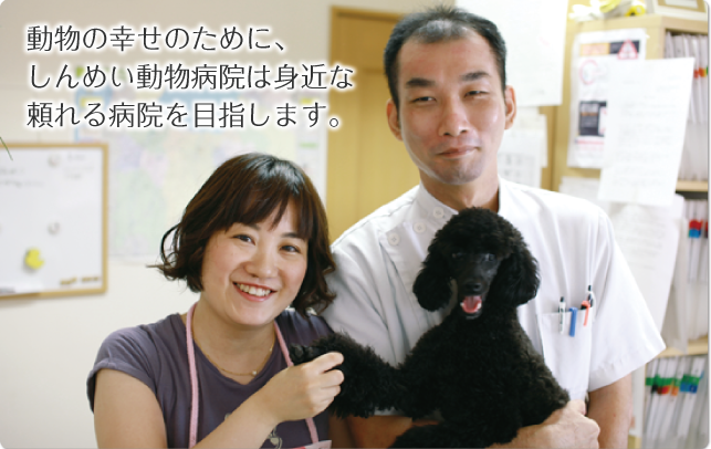 しんめい動物病院