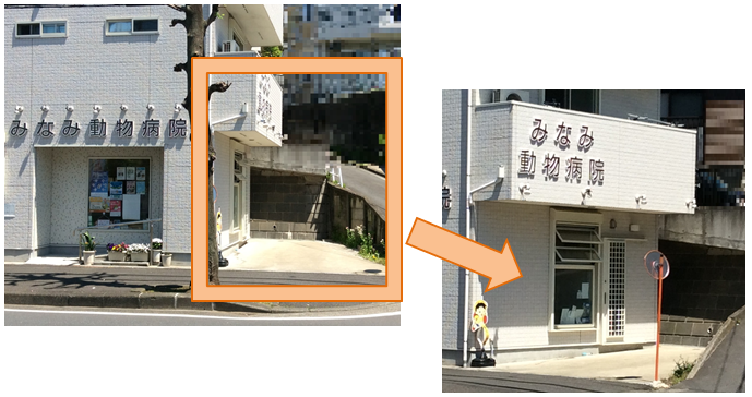 みなみ動物病院