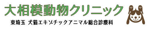 大相模動物クリニック