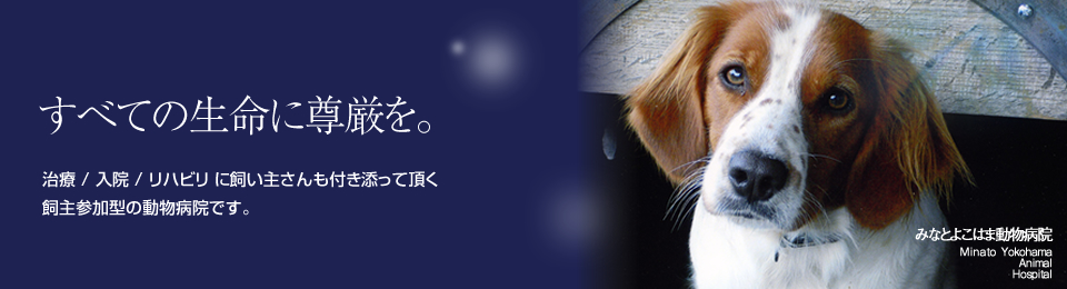 みなとよこはま動物病院
