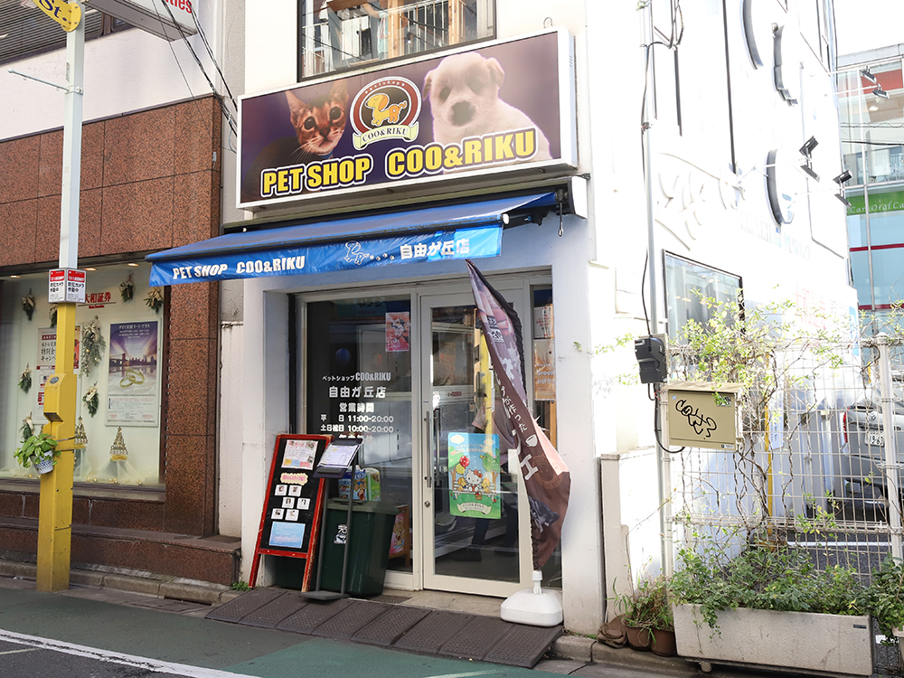 海動物病院　自由が丘往診所