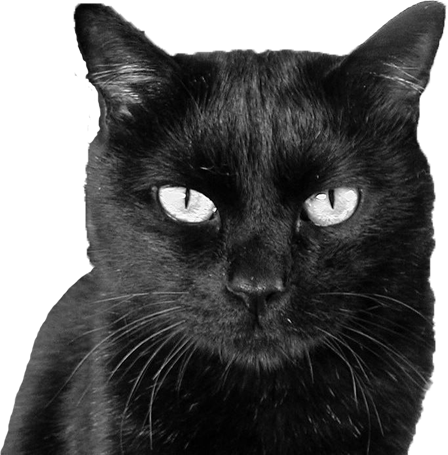 えのもと動物病院