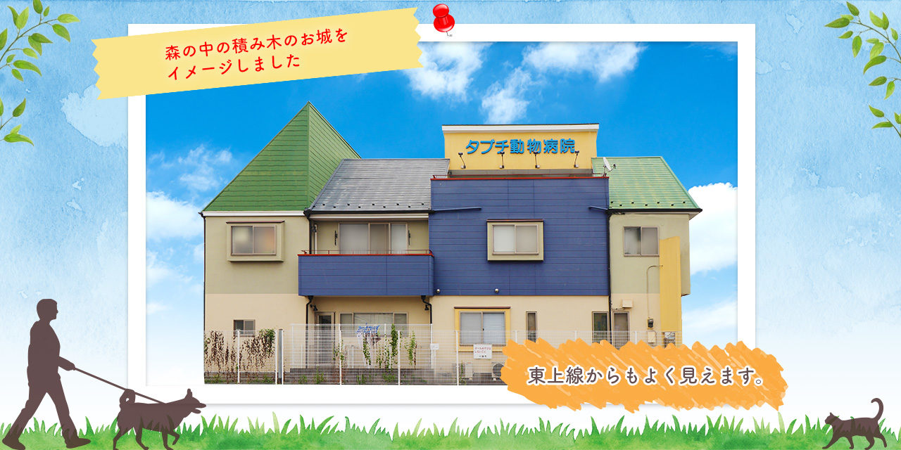 タブチ動物病院