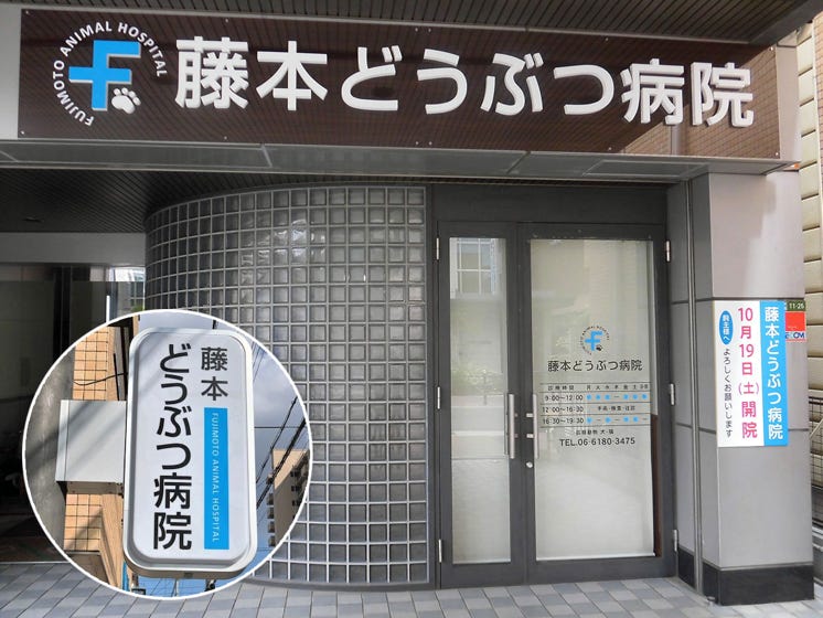 藤本どうぶつ病院