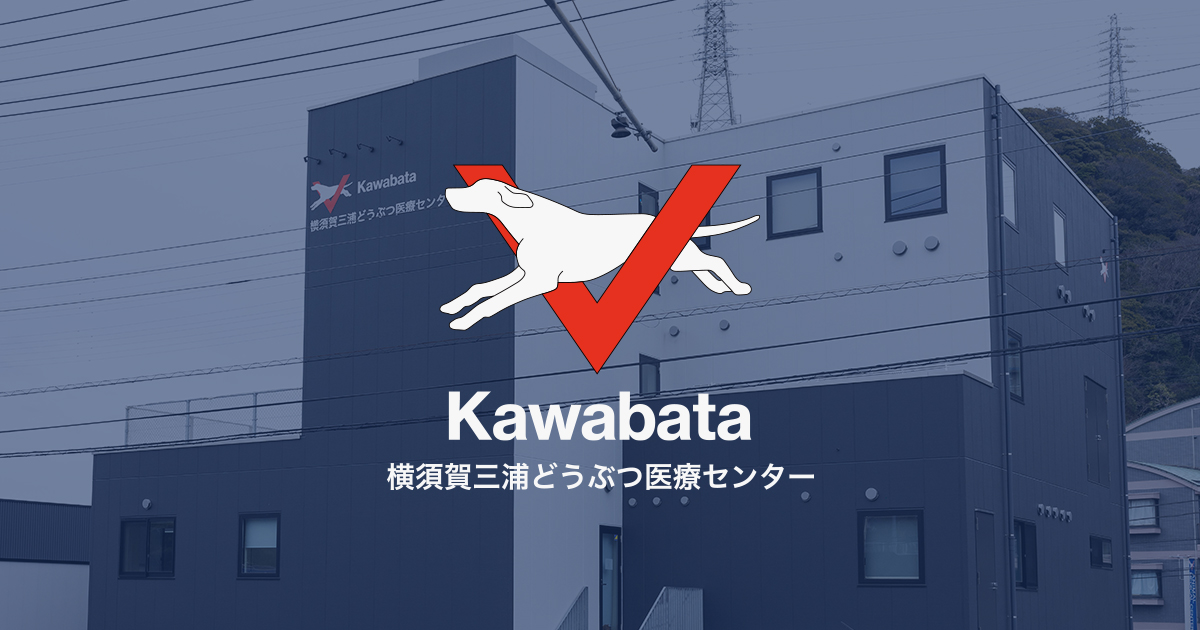 川畑動物病院 大津分院