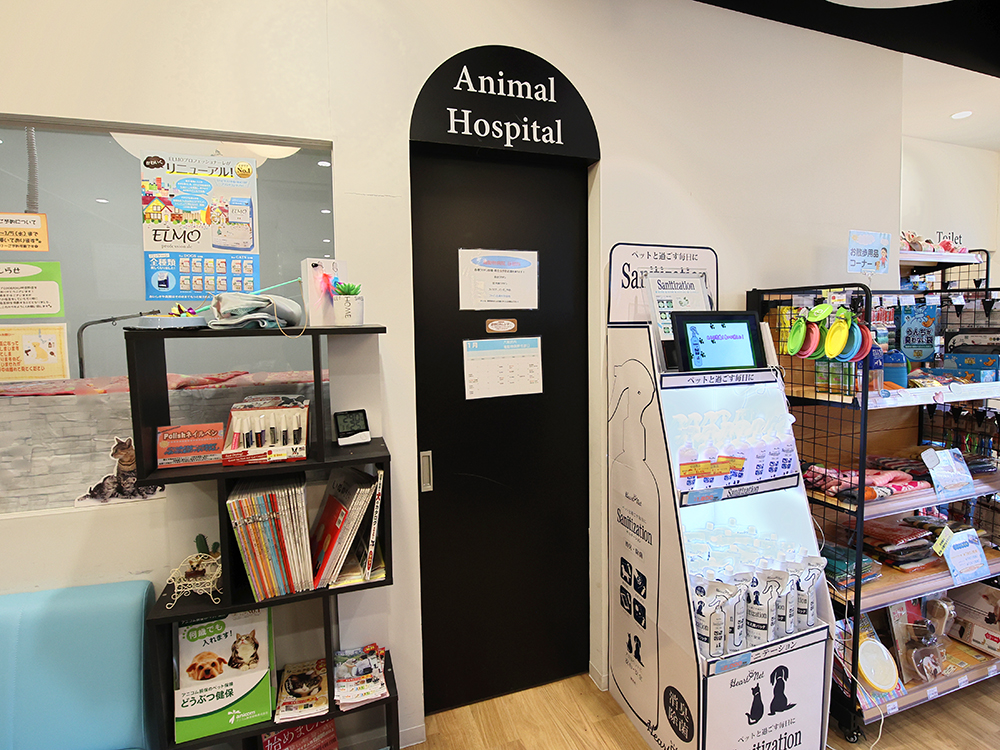 海動物病院　阿倍野往診所