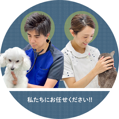 シリウス犬猫病院