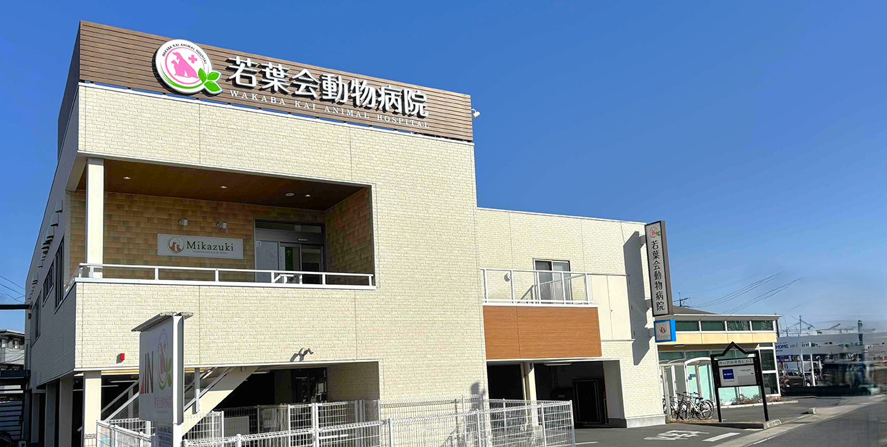 若葉会動物病院